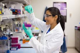 biomedical